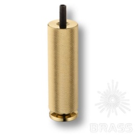 Brass Опора мебельная FL1010 0100 GL-GL глянцевое золото 100 мм