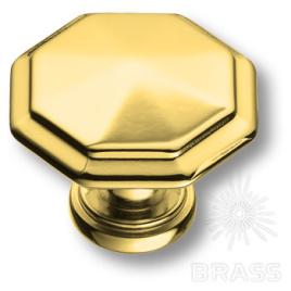 Brass Ручка кнопка 15.309.01.19 глянцевое золото