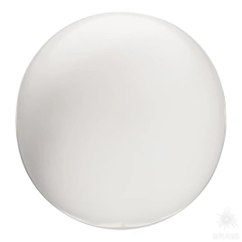 Brass Ручка кнопка 9819 T WHITE белый