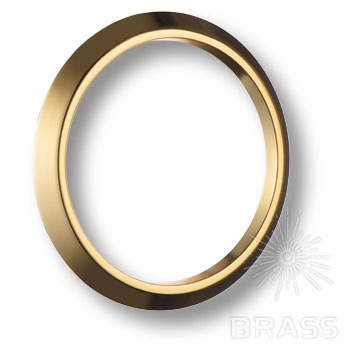 Brass Накладка декоративная 2131 Gold глянцевое золото фото 1