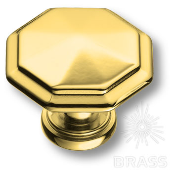 Brass Ручка кнопка 15.309.01.19 глянцевое золото фото 1