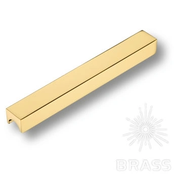 Brass Ручка профиль 1700 0160 GL глянцевое золото 160 мм фото 1